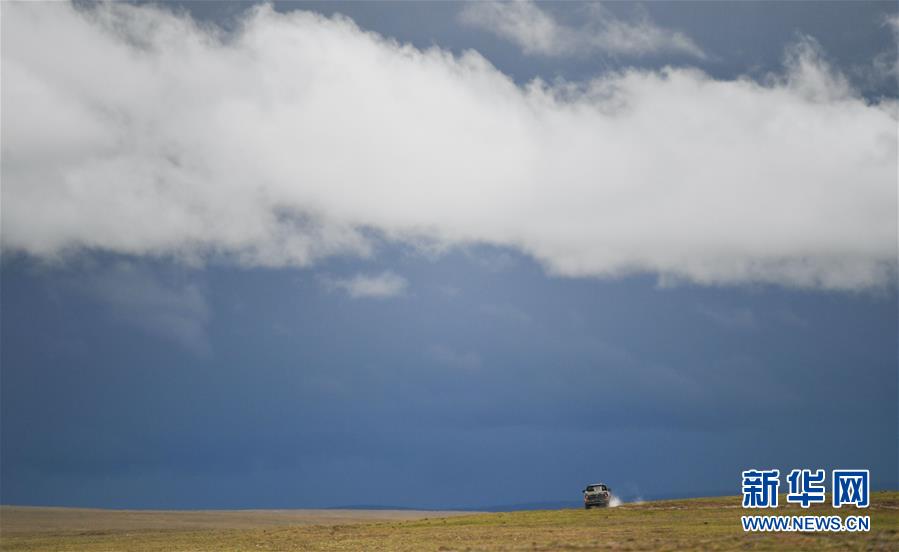 （圖文互動）（7）記者手記：可可西里，“挪”向“藏羚羊大產房”的14個半小時