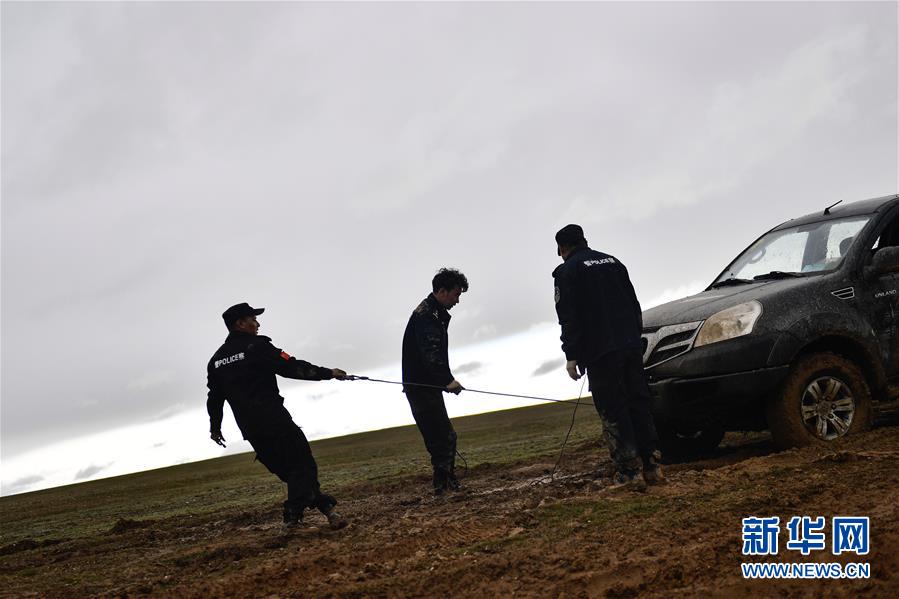 （圖文互動）（10）記者手記：可可西里，“挪”向“藏羚羊大產房”的14個半小時