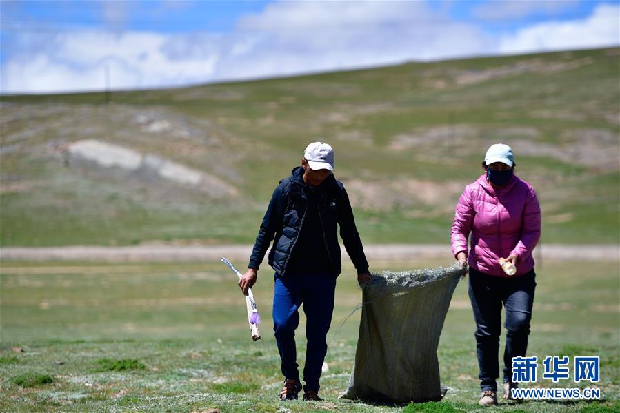 (新華全媒頭條·走向我們的小康生活·圖文互動(dòng))(5)綠色繪就三江源——來(lái)自青海脫貧奔小康一線(xiàn)的蹲點(diǎn)報(bào)告