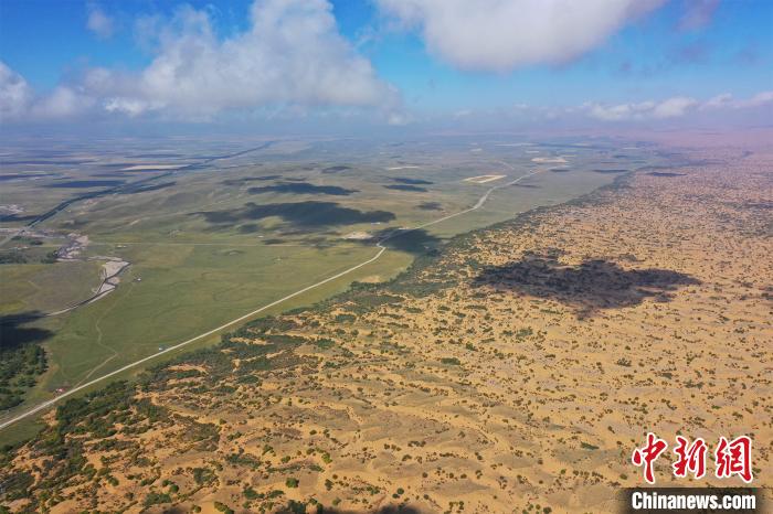 青海貴南防沙治沙:從“沙進人退”到“人進沙退”