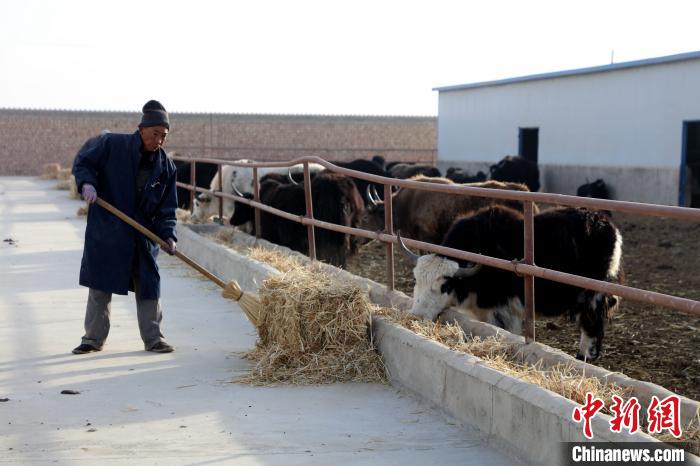 柴達(dá)木盆地蓮湖村：讓致富村民生活“?！逼饋?/></a></div>
                        <div   id=