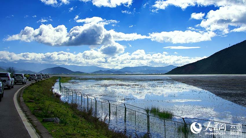 納帕海濕地。呂昊辰攝