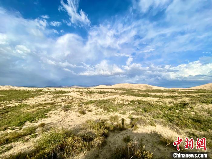 圖為關(guān)停四年后的沙島景區(qū)現(xiàn)狀?！±罱瓕?攝