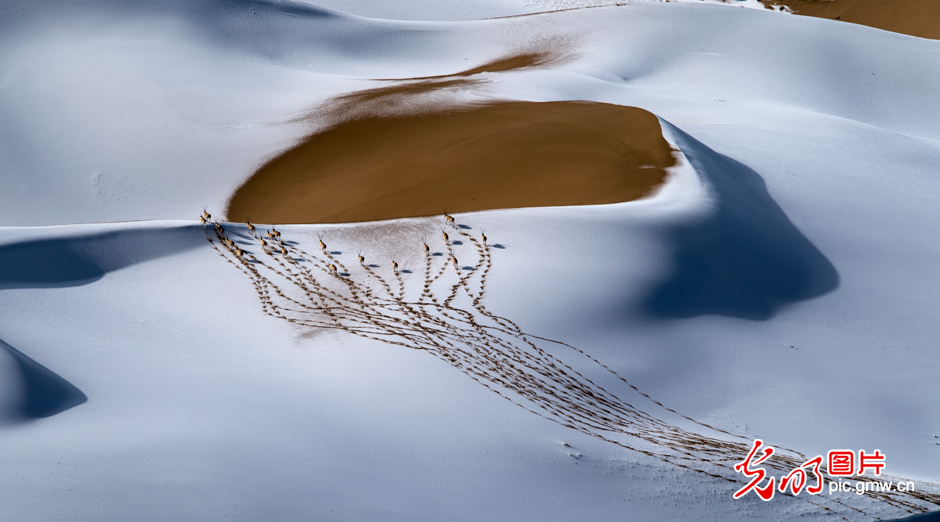 三江源國家公園正式設(shè)立，這是青海生態(tài)文明建設(shè)的新答卷