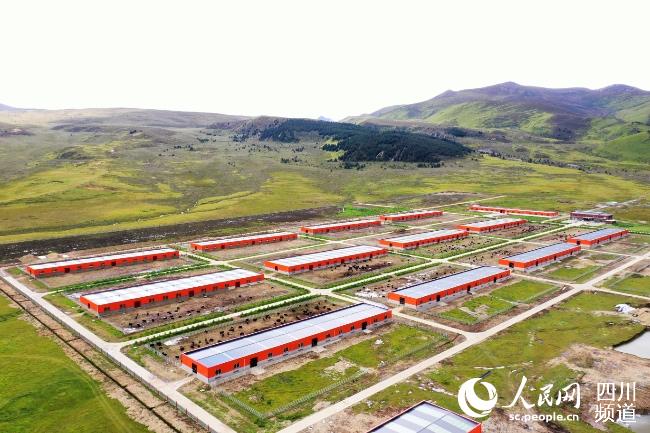 建設(shè)中的理塘縣牦牛產(chǎn)業(yè)園。葉強平攝