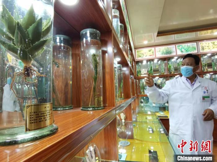 甘肅省甘南藏族自治州碌曲縣藏醫(yī)院副院長看照加近30年的從醫(yī)工作，堅持中藏醫(yī)特色優(yōu)勢相結(jié)合診療方法?！堟?攝