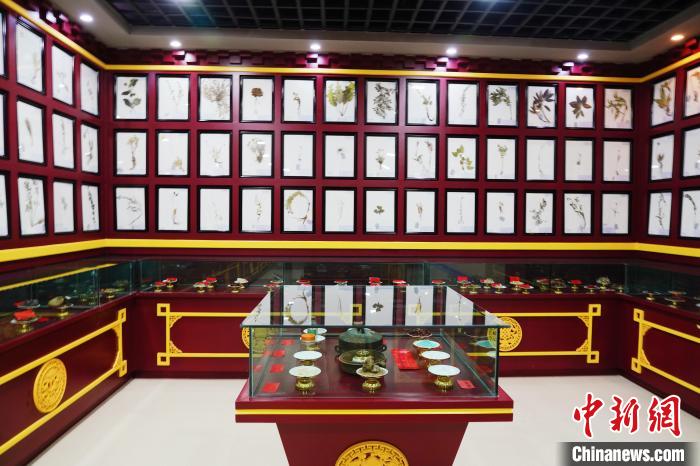 圖為藏藥臘葉標本。　馬銘言 攝