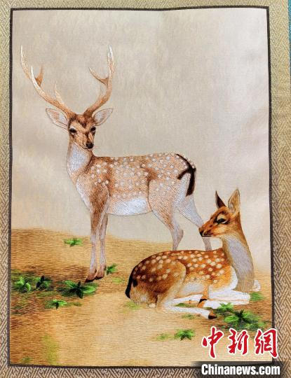 圖為藏繡作品?！∑钤鲚?攝