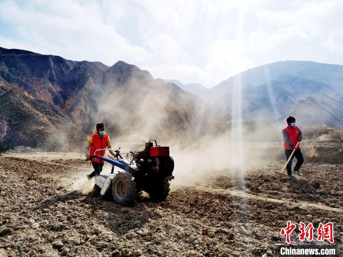 圖為拖拉機在山地犁地?！?zhí)砀?攝