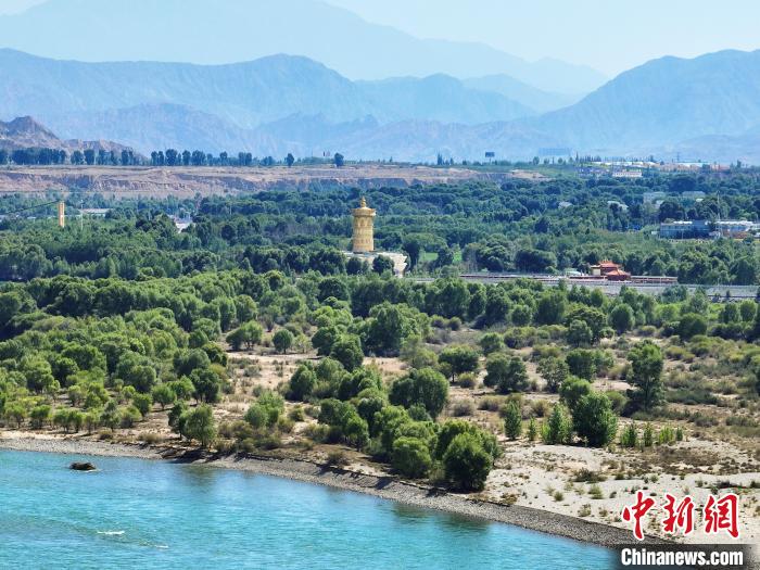 航拍貴德縣黃河岸畔綠意盎然?！●R銘言 攝