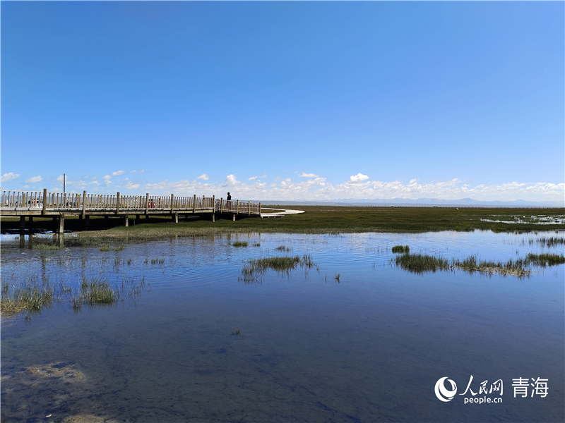   青海湖仙女灣。人民網(wǎng) 張莉萍攝