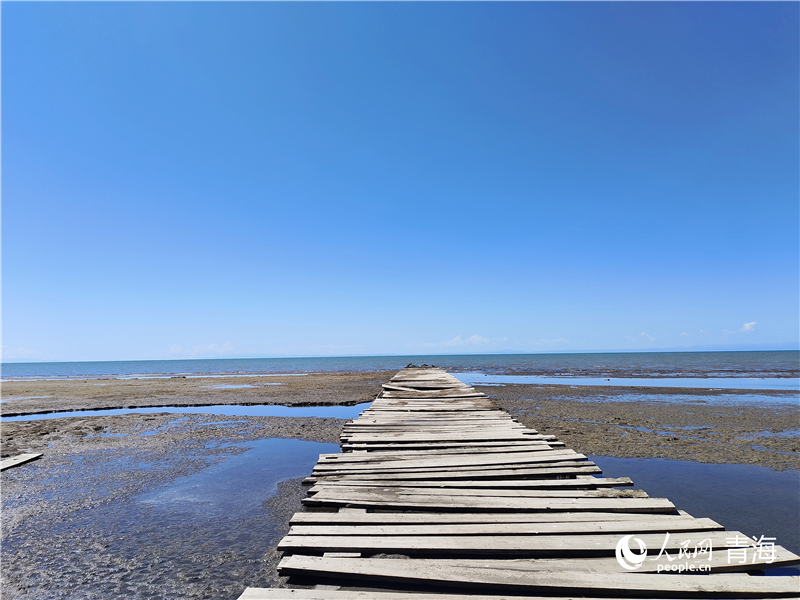   青海湖仙女灣。人民網(wǎng) 張莉萍攝