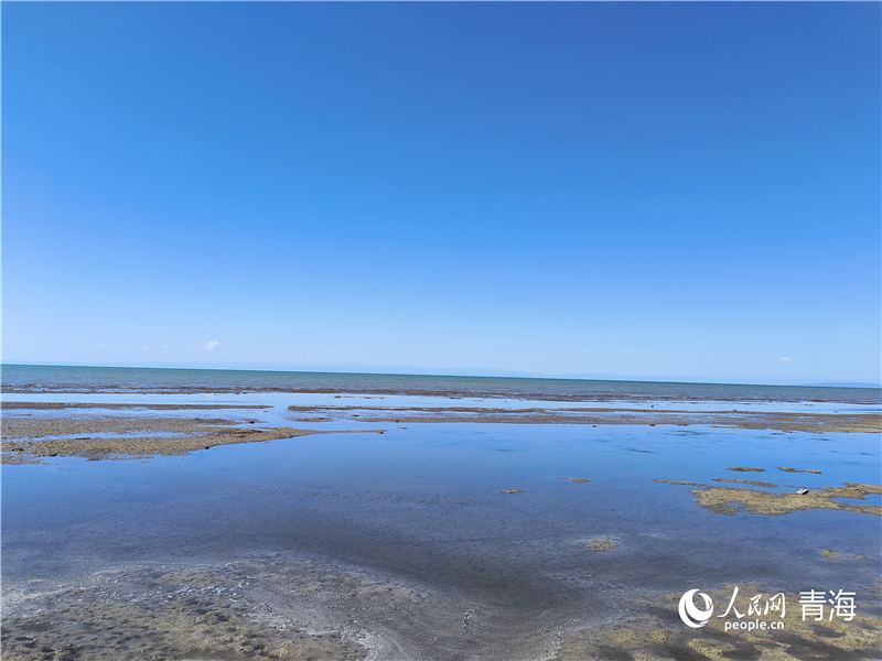   青海湖仙女灣。人民網(wǎng) 張莉萍攝