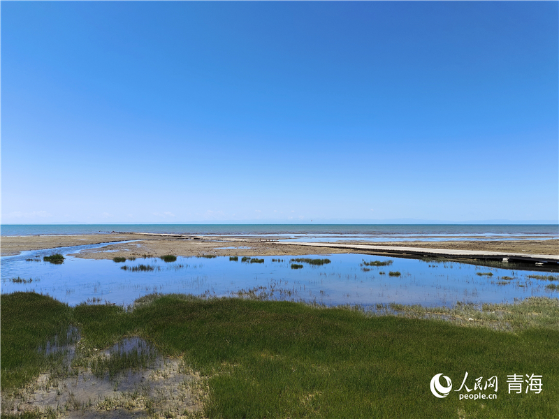   青海湖仙女灣。人民網(wǎng) 張莉萍攝