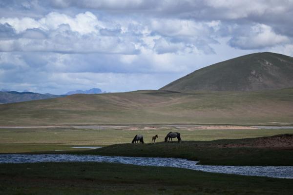 唐古拉山腳下，聽牧民講述長江源生活變遷