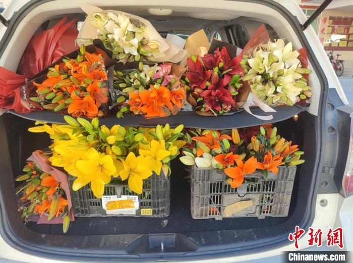 剛剛采摘下來(lái)的百合花?！∪捞量h委宣傳部供圖