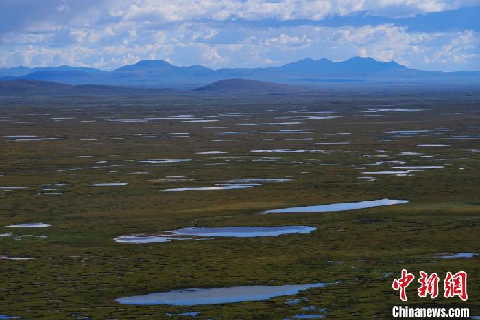 圖為查旦濕地?！●R銘言 攝