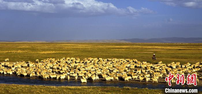 青?，敹唷鞍渍渲椤弊尠傩斟X袋鼓起來