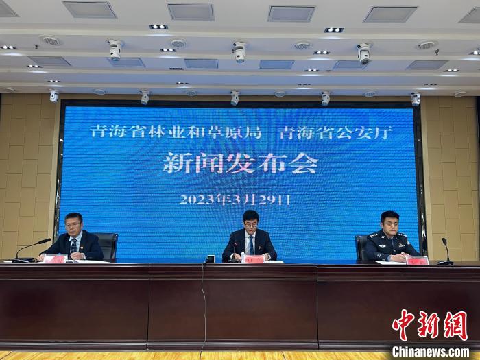 青海去年占用林地、草地準(zhǔn)予許可件同比實(shí)現(xiàn)“雙減”