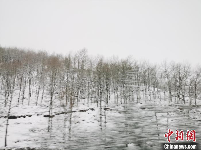 圖為青海青沙山區(qū)域被降雪覆蓋?！?zhí)砀?攝