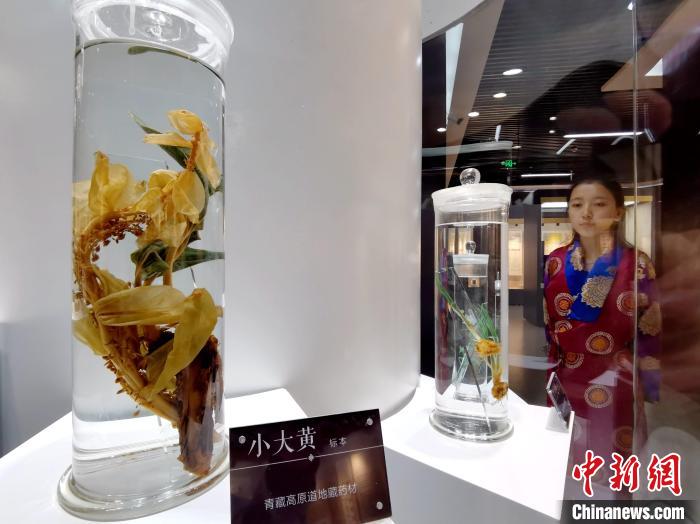 青海中藏醫(yī)藥發(fā)展提速：建設(shè)一批重點(diǎn)專科學(xué)科，推廣一批適宜技術(shù)