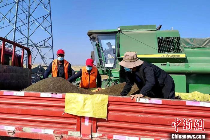 圖為合作社工作人員準(zhǔn)備播種。(資料圖) 張海蓮 攝
