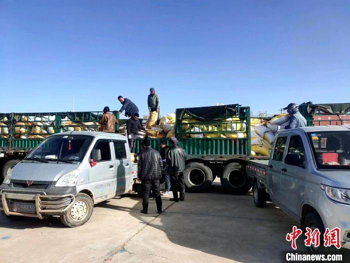 圖為合作社正在拉運(yùn)化肥。(資料圖) 張海蓮 攝