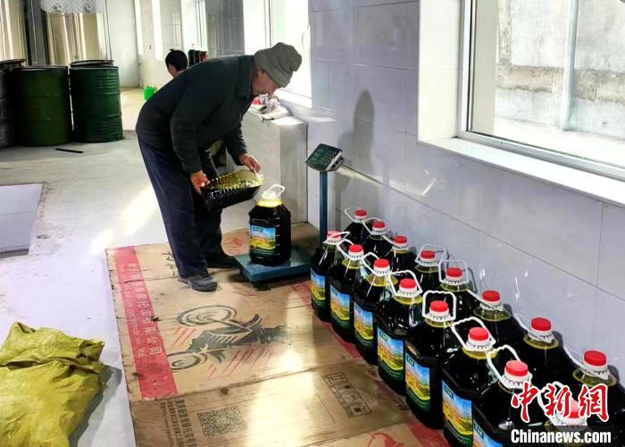 圖為高原油菜籽榨出的菜籽油?！埖么?攝