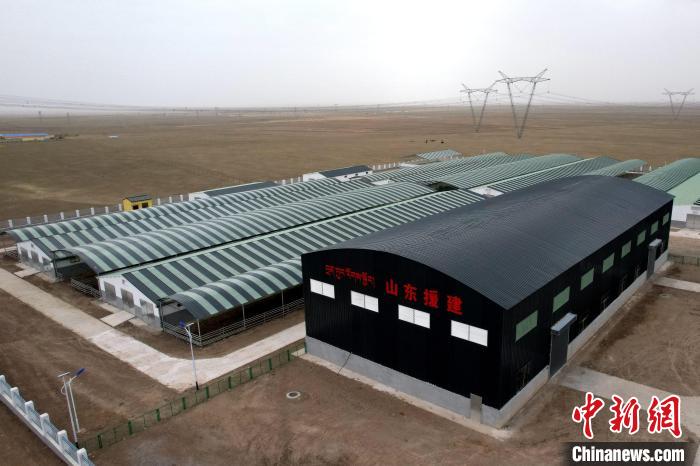 圖為航拍生態(tài)畜牧業(yè)集中規(guī)模化養(yǎng)殖基地?！〔讨绢?攝