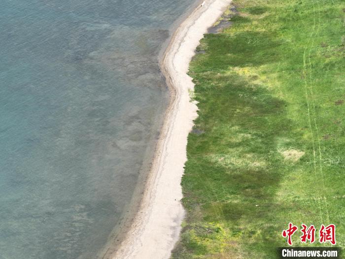 圖為航拍仲夏時(shí)節(jié)，青海湖畔綠茵如毯?！∑钤鲚?攝