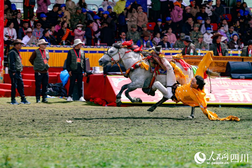 馬術(shù)表演現(xiàn)場。洛絨尼瑪攝