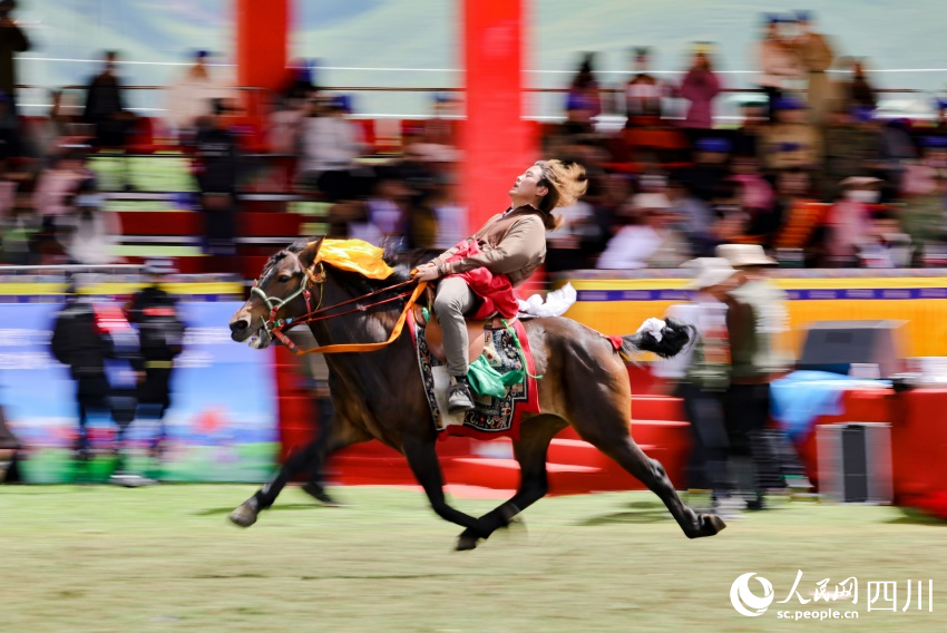 馬術(shù)表演現(xiàn)場。洛絨尼瑪攝