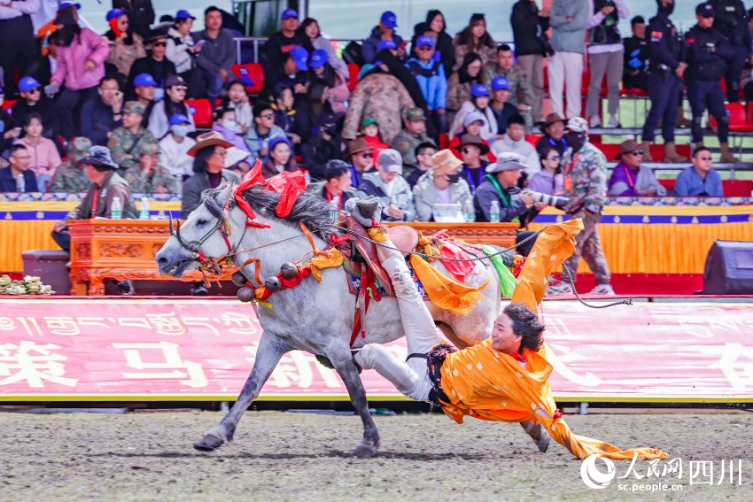 馬術(shù)表演現(xiàn)場。洛絨尼瑪攝