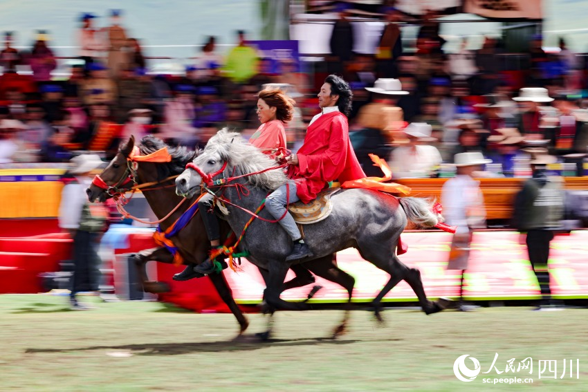 馬術(shù)表演現(xiàn)場。洛絨尼瑪攝