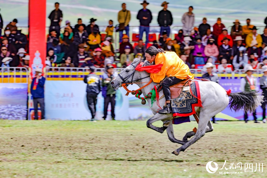 馬術(shù)表演現(xiàn)場。洛絨尼瑪攝