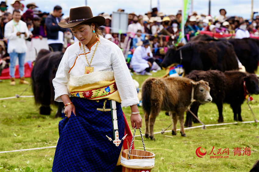 擠牦牛奶大賽。人民網(wǎng) 陳明菊攝