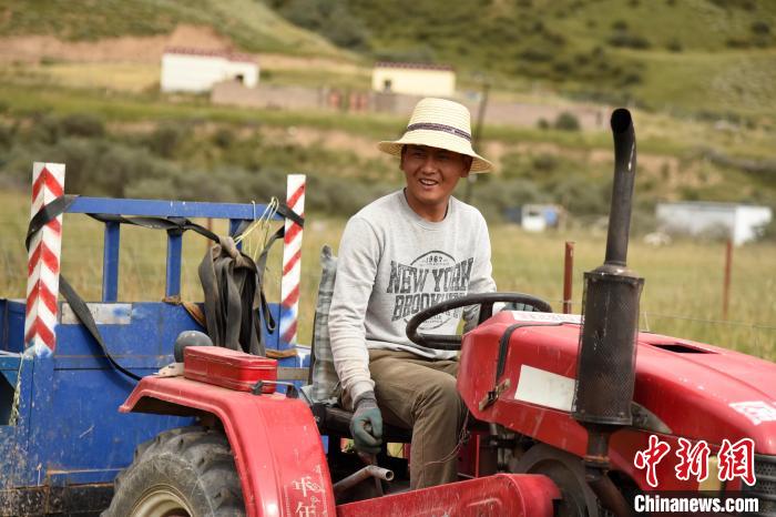 青海囊謙：喜迎秋收，又是一年“豐”景