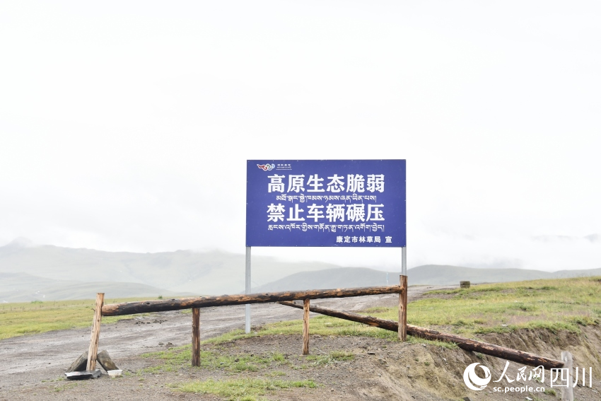 禁止車輛碾壓草原的提示牌。人民網(wǎng)記者 王洪江攝