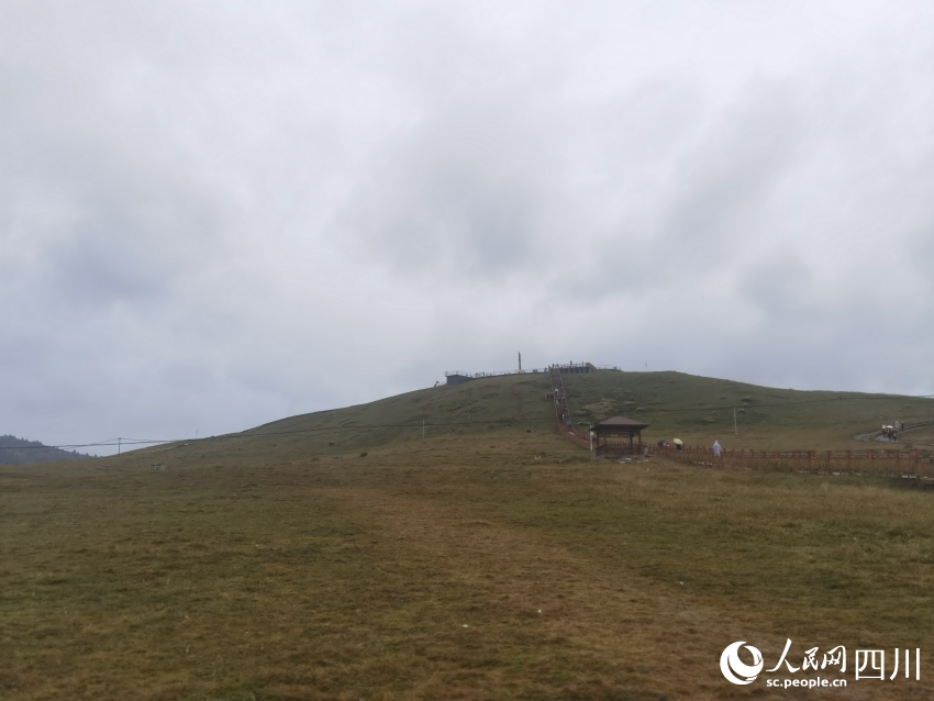 甘孜州塔公草原。人民網(wǎng)記者 王洪江攝