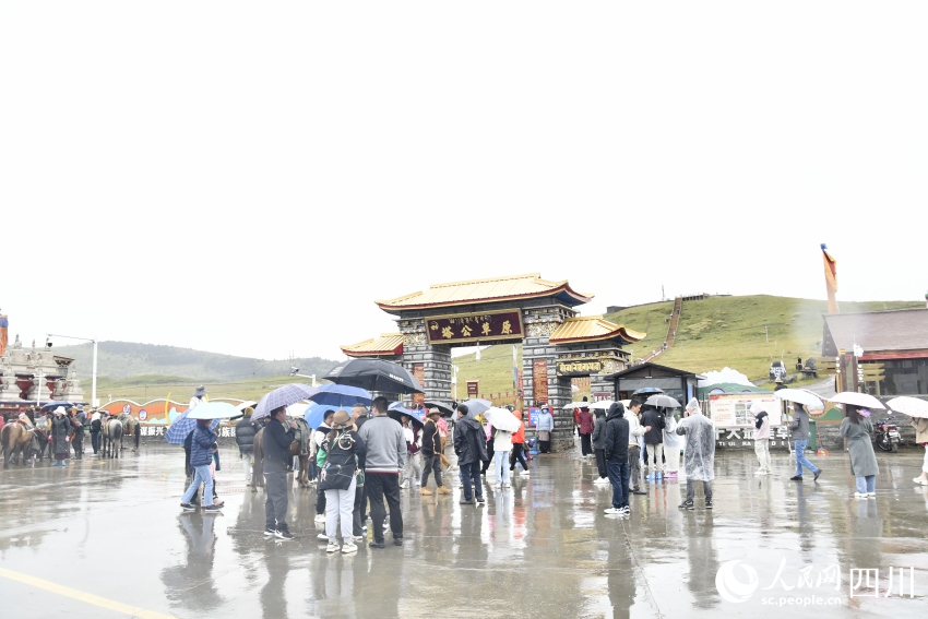 甘孜州塔公草原。人民網(wǎng)記者 王洪江攝