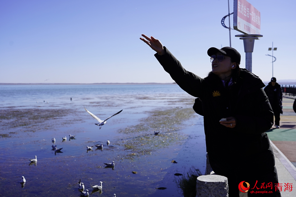 游客投喂水鳥。人民網(wǎng) 陳明菊攝