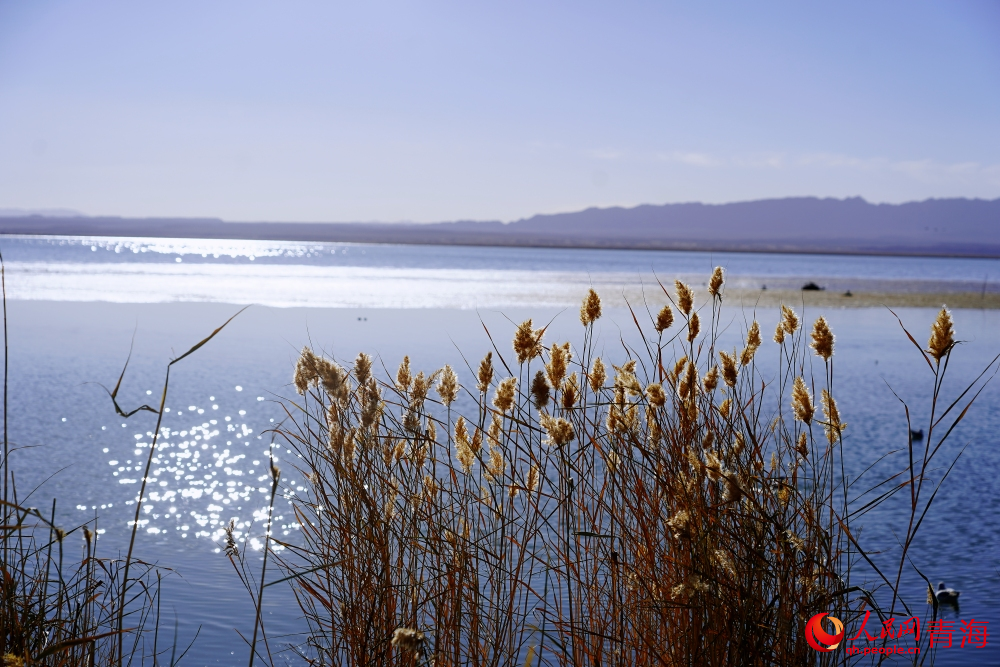 可魯克湖秋色如畫。人民網(wǎng) 陳明菊攝