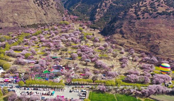 世外桃源！一組圖告訴你，西藏林芝桃花能有多美