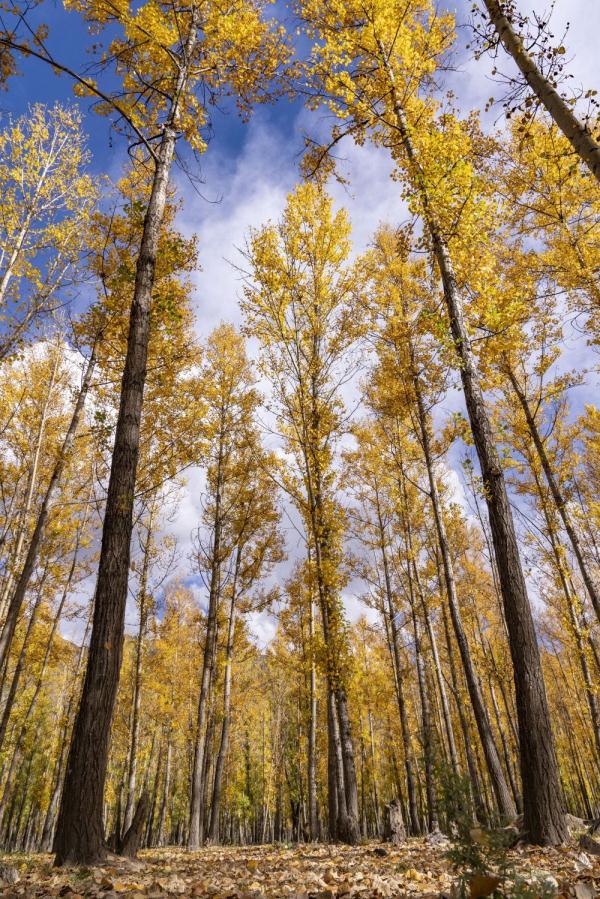 跟我，踏上最美“景觀大道”
