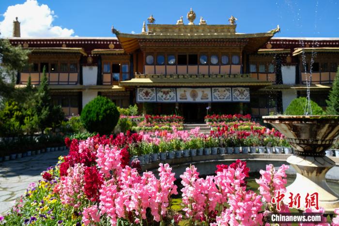 圖為夏日羅布林卡(資料圖)。趙朗攝