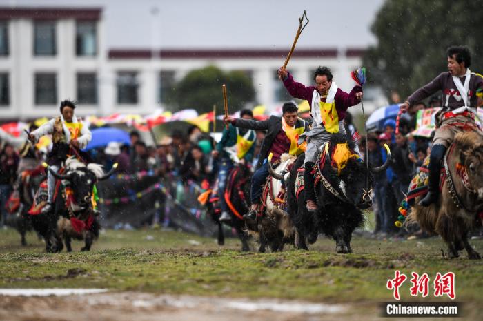 圖為拉薩郊縣的賽馬節(jié)(資料圖)。何蓬磊 攝