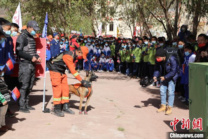 圖為搜救犬服從和箱體搜救演練。　趙琳 攝