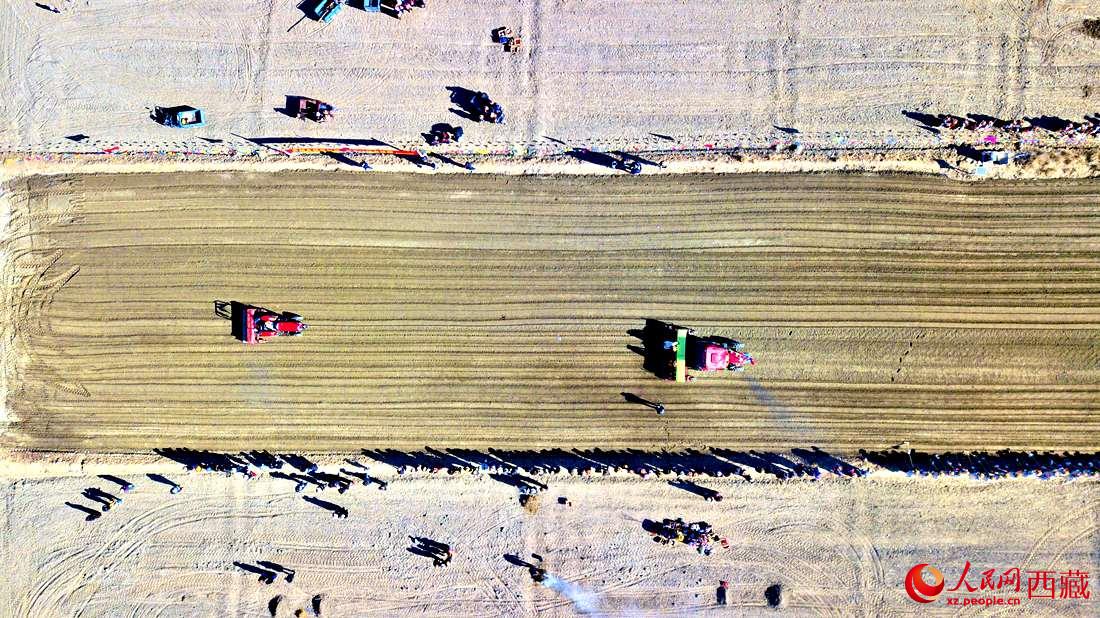 山南市扎囊縣扎其鄉(xiāng)孟卡榮村迎來(lái)春耕第一犁。人民網(wǎng) 次仁羅布攝