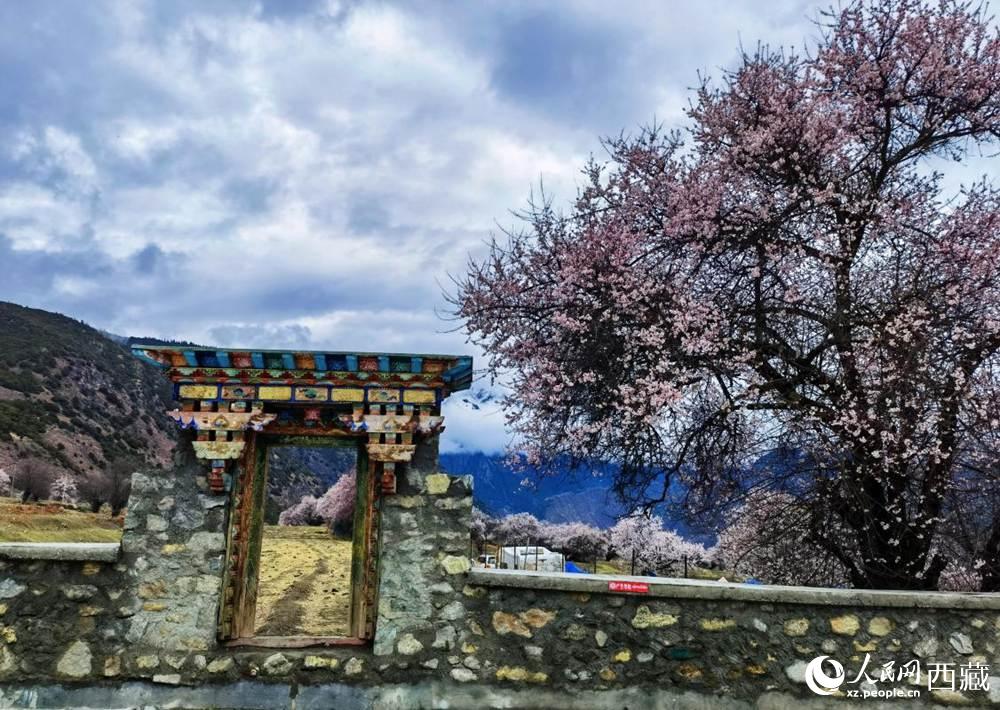 桃花下的藏式民居。人民網(wǎng) 李海霞攝