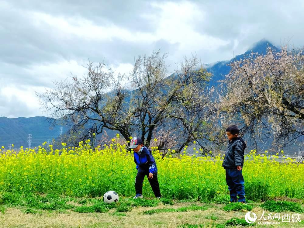 孩童在桃花下嬉戲。人民網(wǎng) 李海霞攝